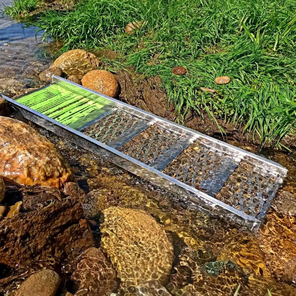IMG_20240504_143650 Canalina Sluice box Gold Matrix di Ticino Gold Diggers in acqua