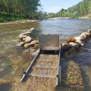 Water Beetle Magnum – Sluice box larga ad alta capacità con tramoggia Dragonfly